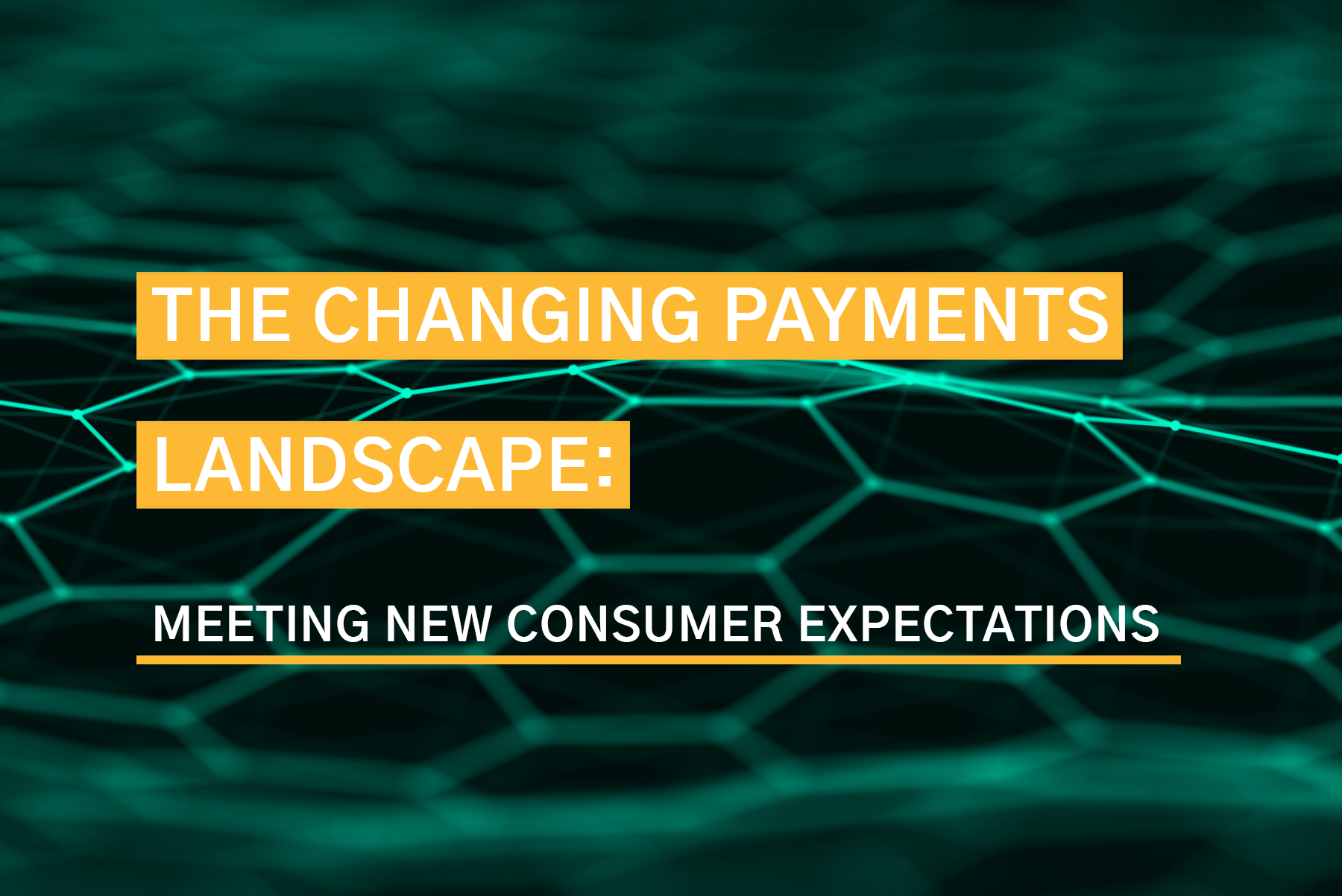 The Changing Payments Landscape: Meeting New Consumer Expectations